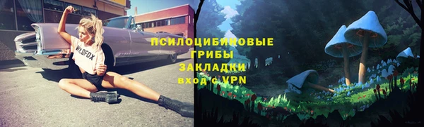 ПСИЛОЦИБИНОВЫЕ ГРИБЫ Зеленокумск