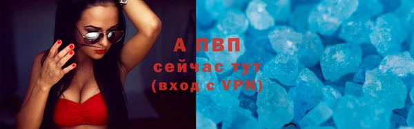 стаф Зеленодольск