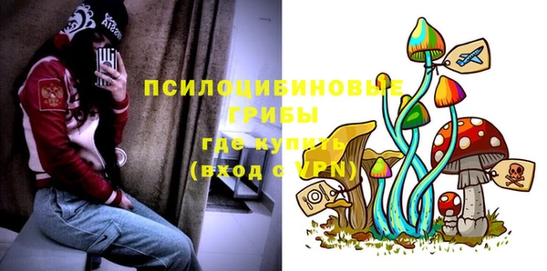 стаф Зеленодольск