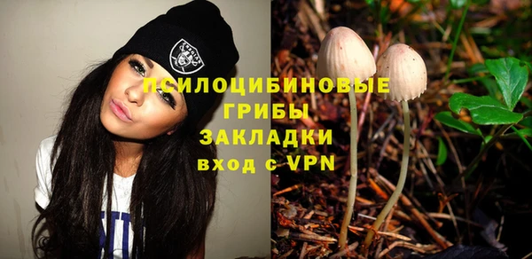 стаф Зеленодольск